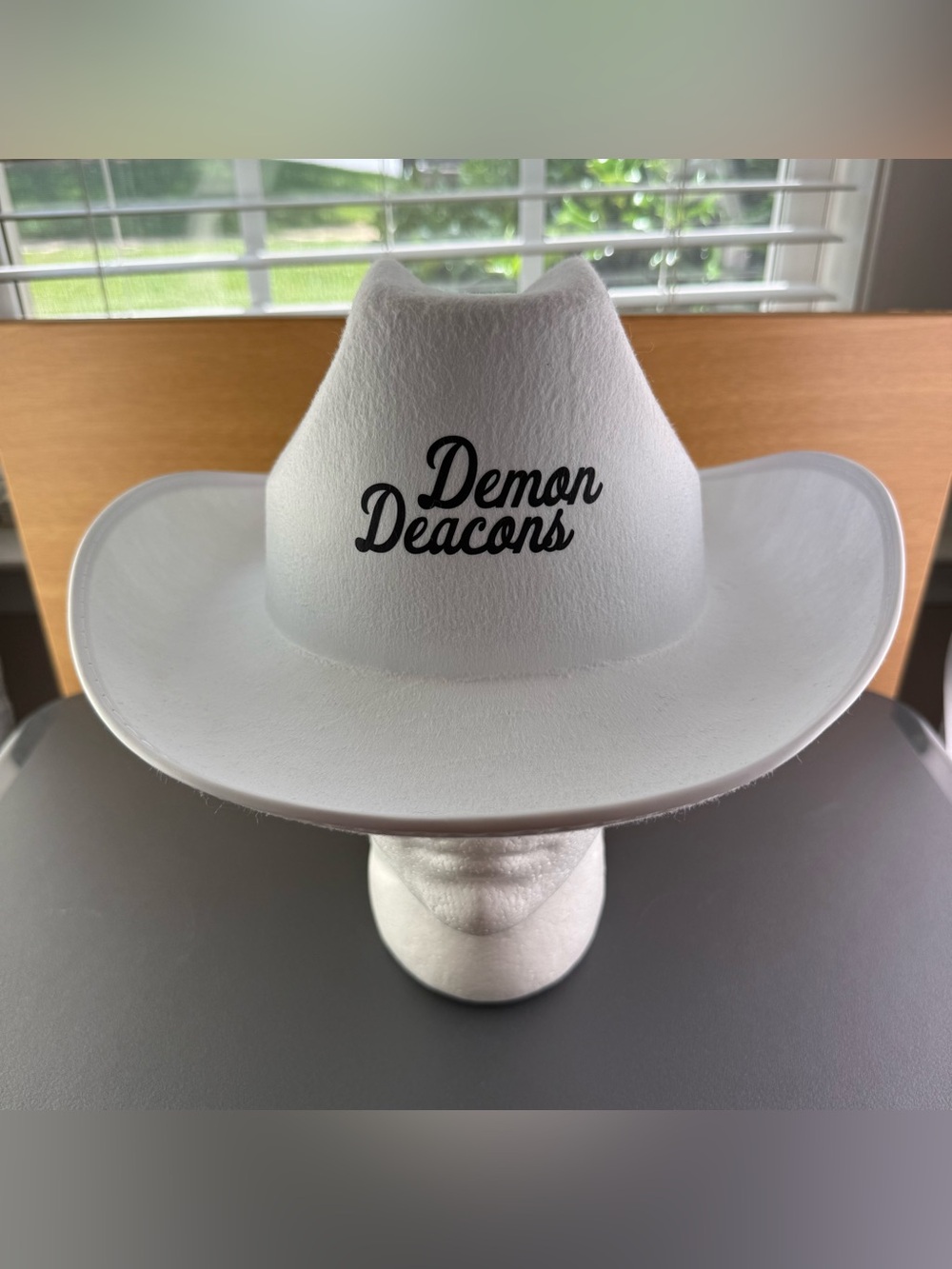 Wake Forest Demon Deacons Script Logo Adult White Western Cowboy Hat